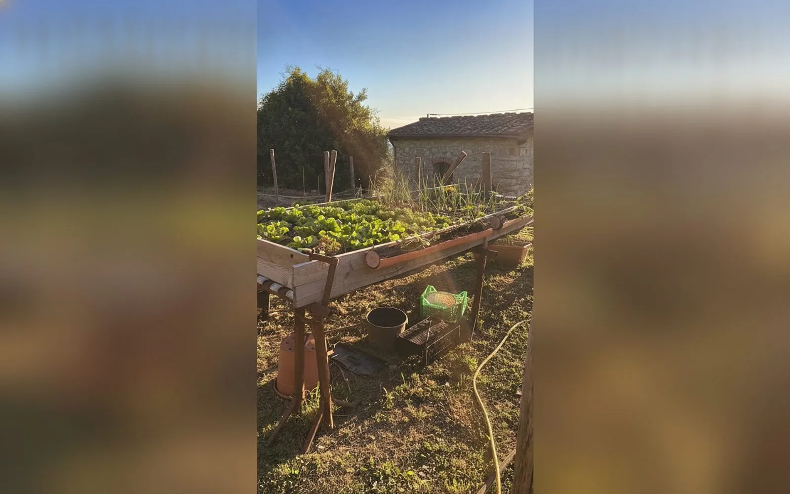 Casa di Gera · Bilocale rustico a Sesto Fiorentino, Monte Morello, 