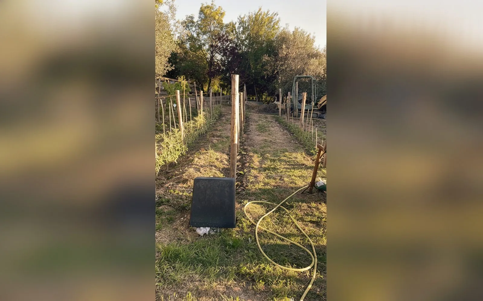 Casa di Gera · Bilocale rustico a Sesto Fiorentino, Monte Morello, 