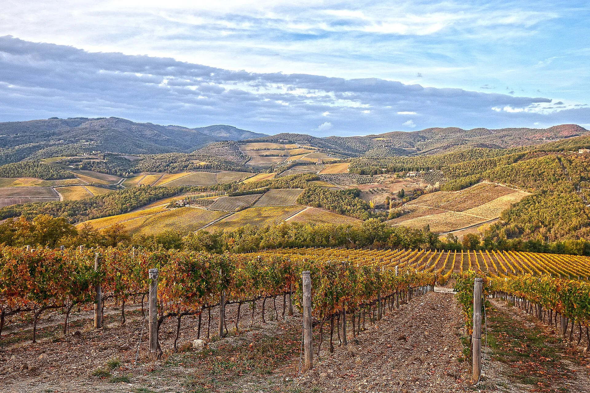 Paesaggio collinare toscano con vigneti dai colori autunnali