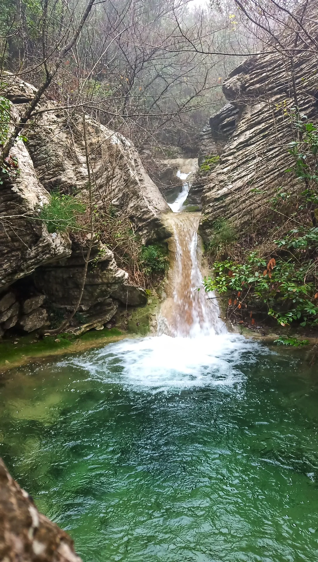 Il torrente Zambra tra i boschi del Monte Morello, nel territorio di Sesto Fiorentino