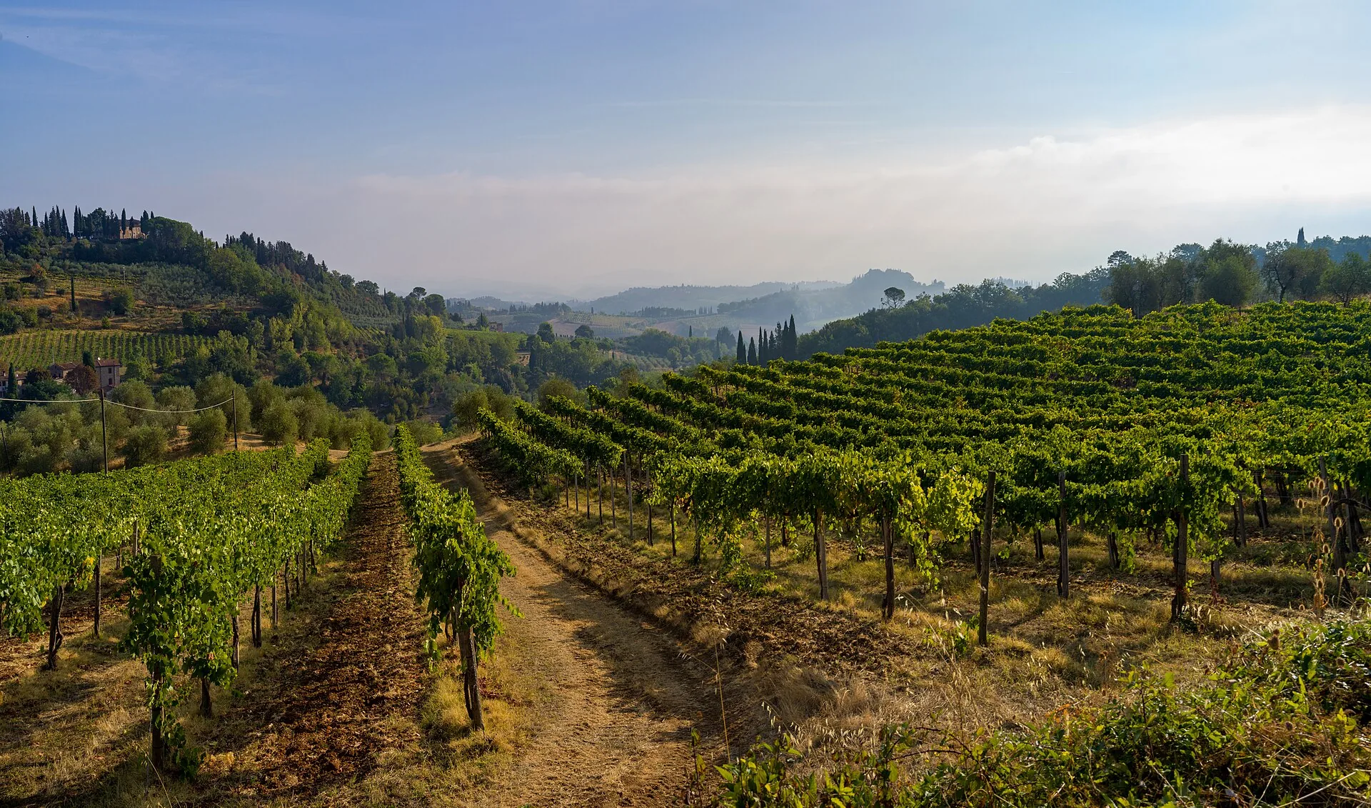 Campagna toscana con uliveti e colline verdi in primavera